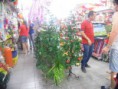 /album/galeria-de-fotos-click-na-imagem-para-ampliar/a10686649-162946390566514-3376595481970645181-n-jpg/